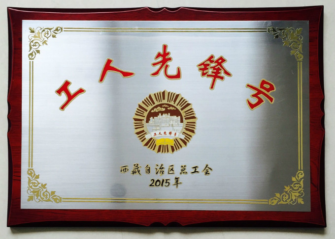 2015年自治區(qū)工人先鋒號(hào)